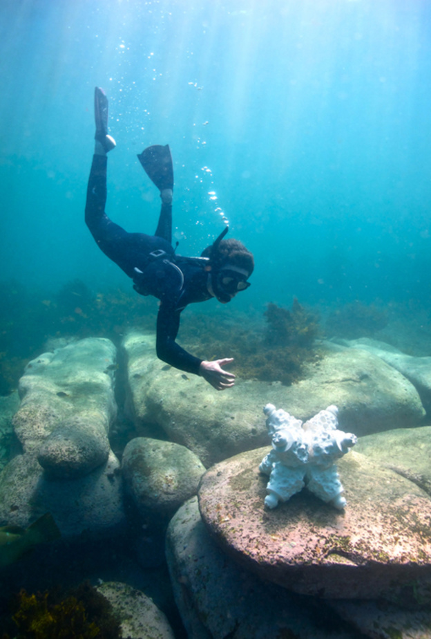 التقنية الثلاثية الأبعاد تساعد الشعاب المرجانية في المالديف