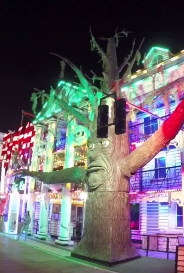 بدء العد التنازلي لإفتتاح القرية العالمية