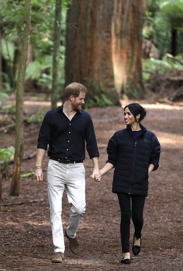  ميغان ماركل و الأمير هاري ينهيان جولتهما الملكية