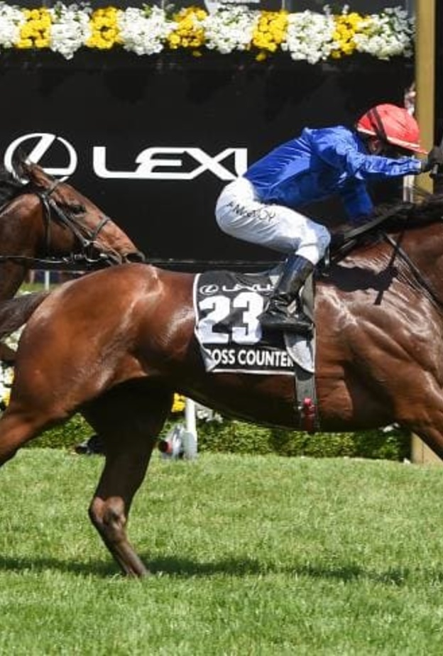 كروس كاونتر 