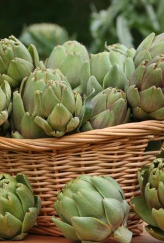  الخرشوف يقي من أمراض القلب