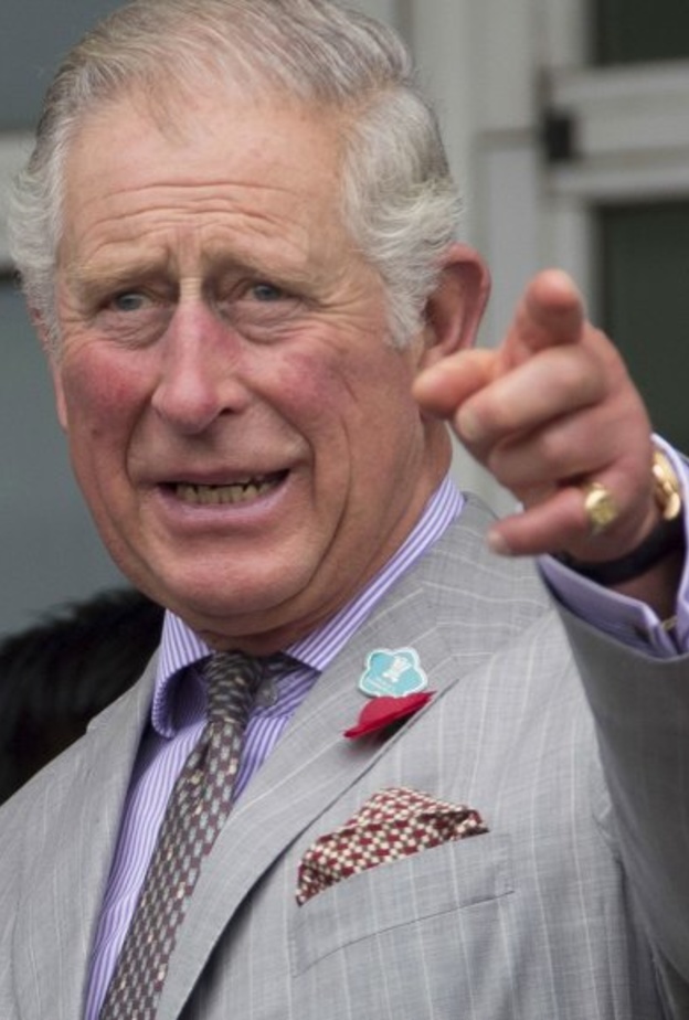  الأمير تشارلز يجيد العزف على الآلات الموسيقية التشيلو والبوق والبيانو