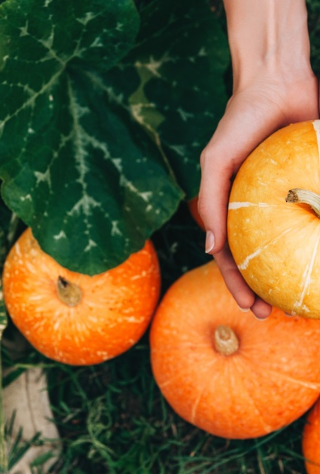  فوائد اليقطين للصحة والجمال