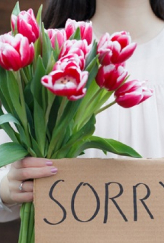 كيف تتقن الزوجة فن الاعتذار للزوج
