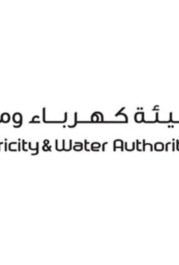 كهرباء دبي تعلن إطلاق المرحلة الثانية من خدمة "رمّاس" الموظف الافتراضي