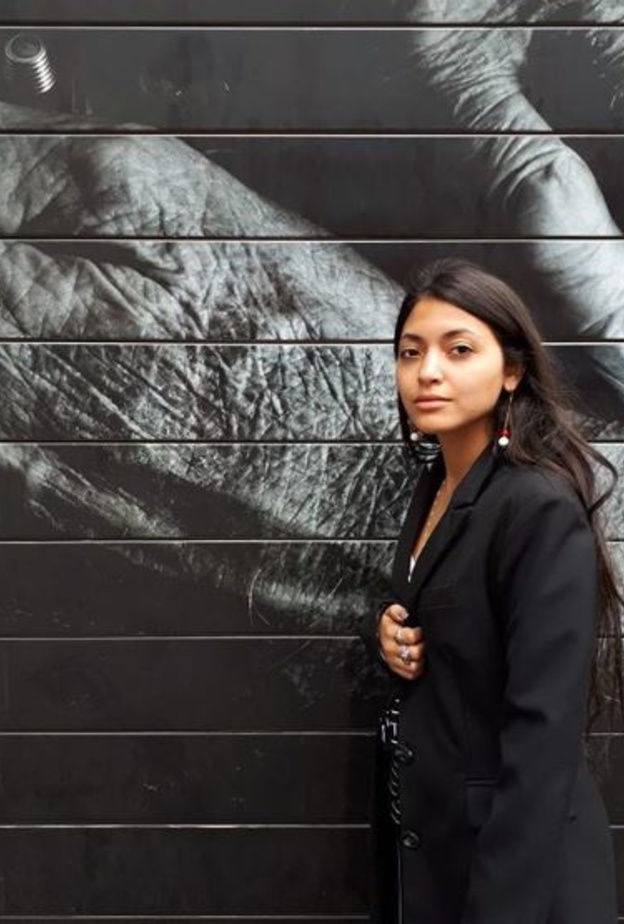 الفنانة مي الغيطي 