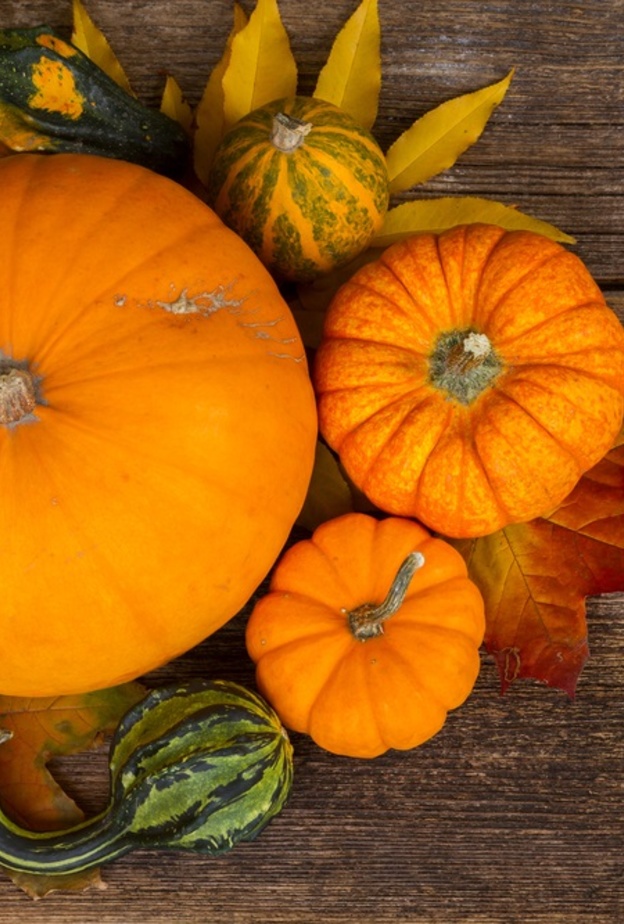 تناول اليقطين يحمي من تصلب الشرايين