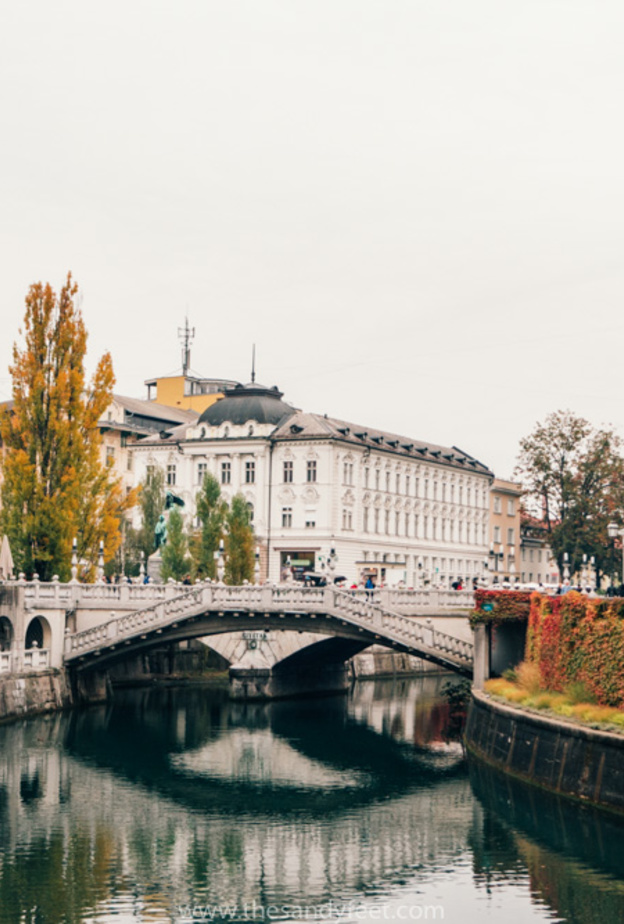 جمال فريد في ليوبليانا