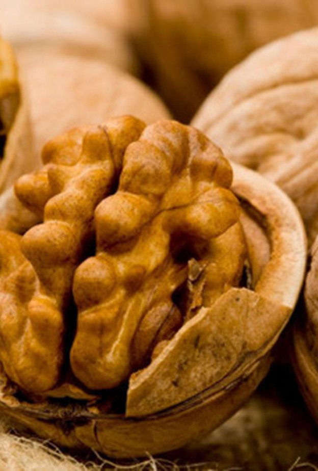 الجوز يعزز صحة الجسم