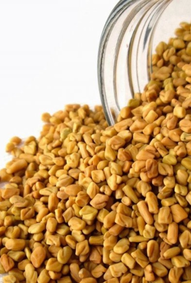 الحلبة تعزز صحة المعدة وتقيه من الأمراض