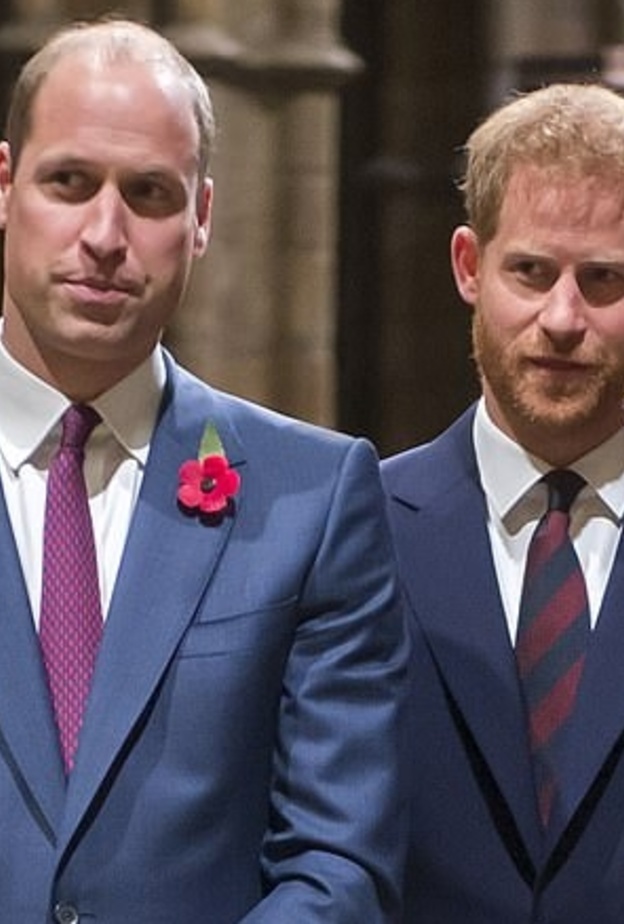 الأمير تشارلز تدخل لتدارك الجفوة بين ولديه