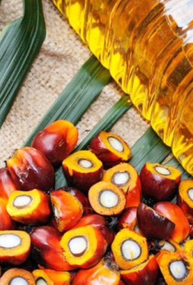 زيت النخيل يعزز مناعة الجسم