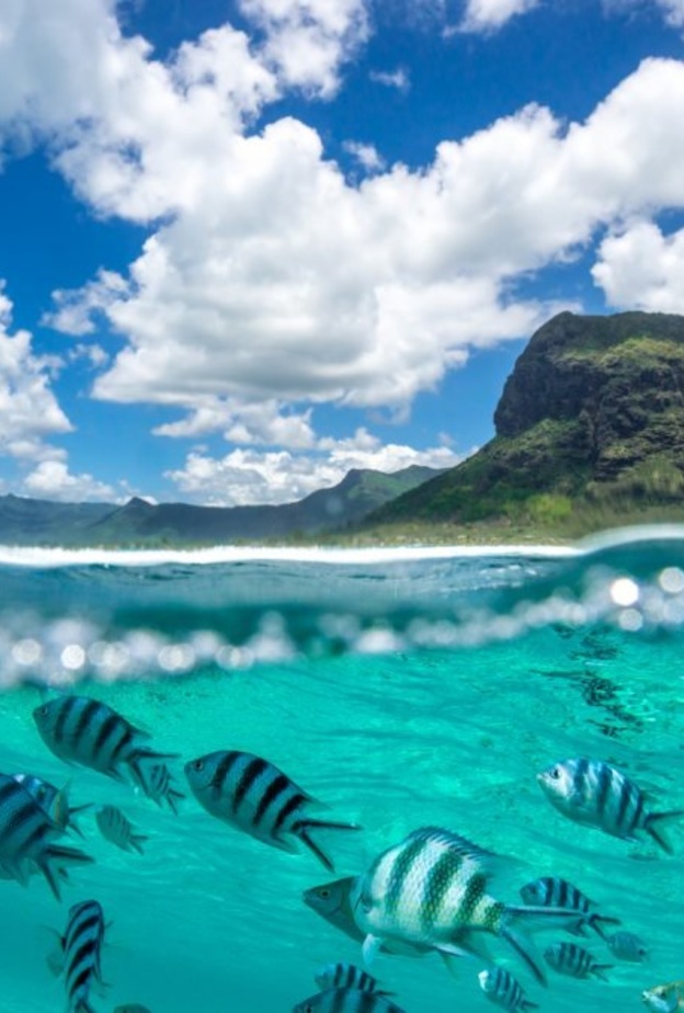 بورت لويس العاصمة