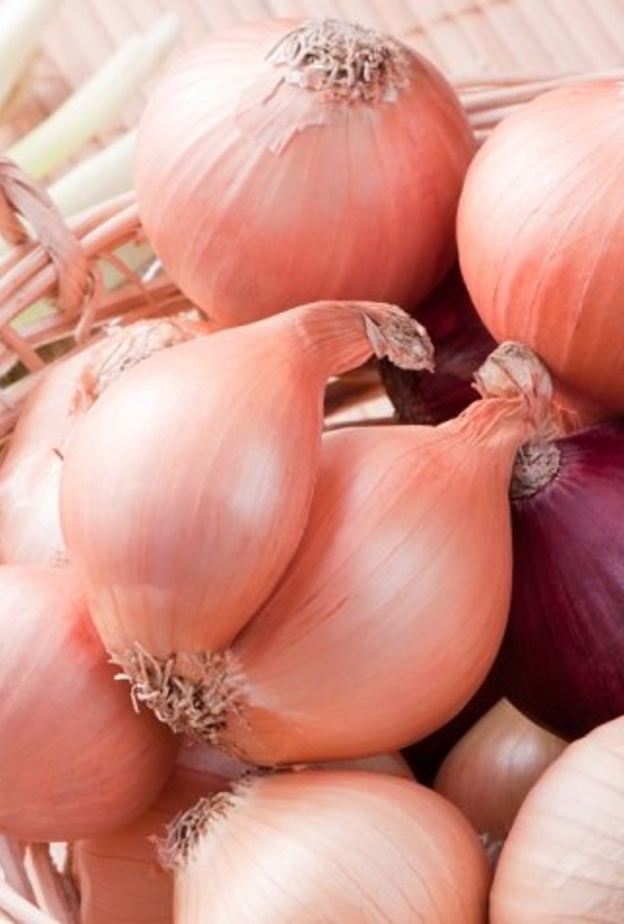 البصل يحمي العيون من مضاعفات السكري