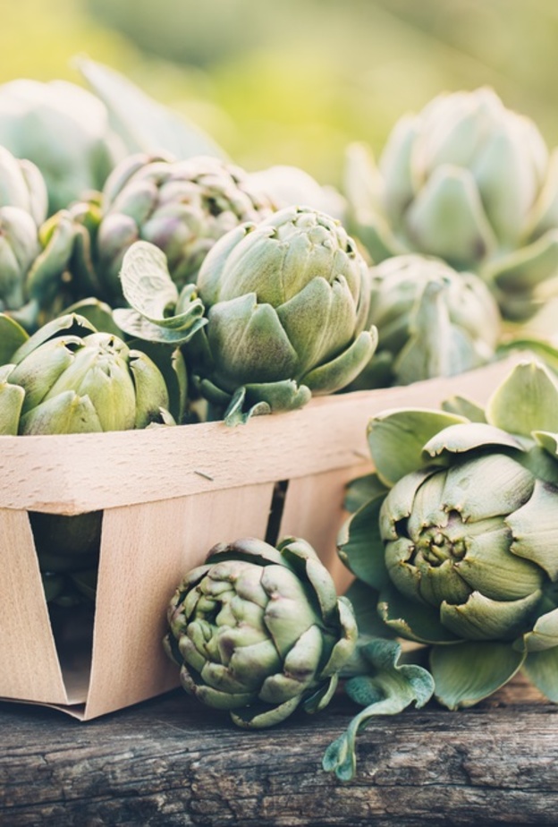 فوائد الخرشوف لخفض الكوليسترول في الدم