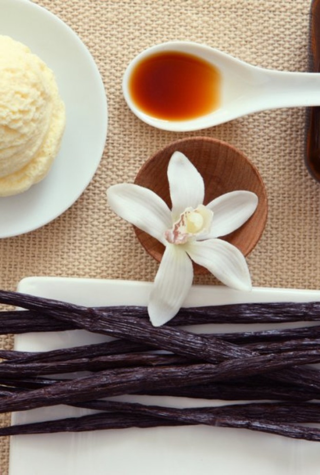  الفانيليا تستخدم في علاج عدد من الأمراض الجلدية