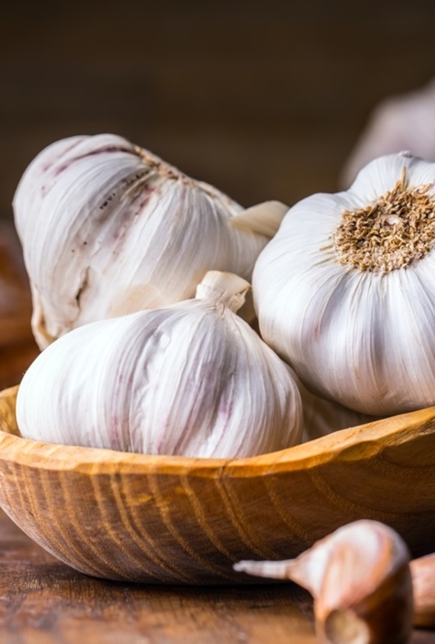 الثوم علاج فعال لمرض لايم