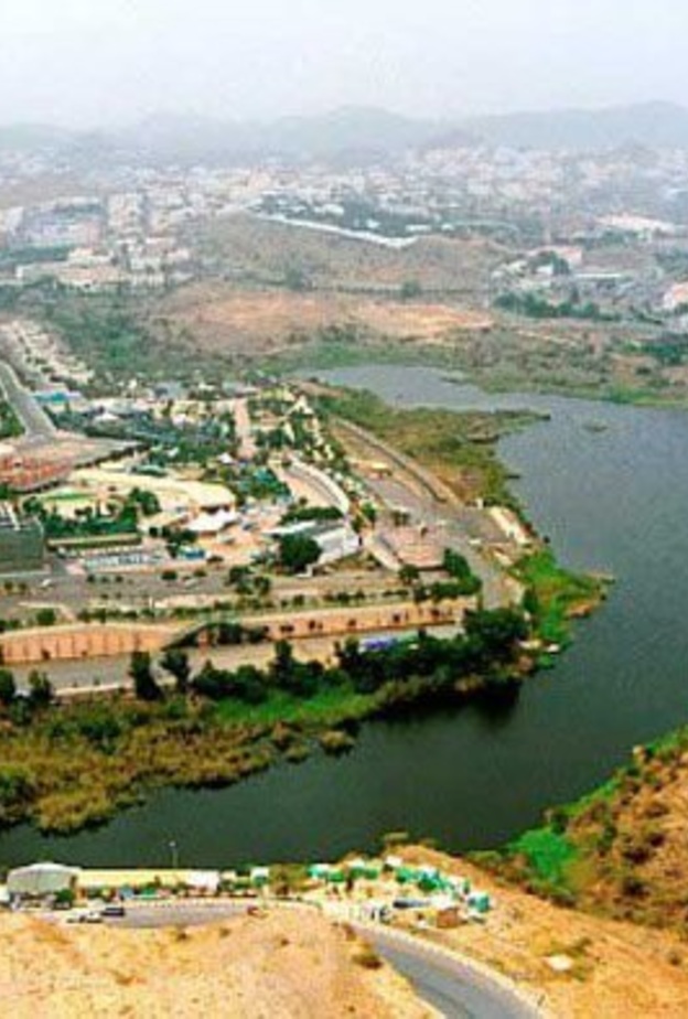 توطين 7 مهن وانشطة في منطقة عسير