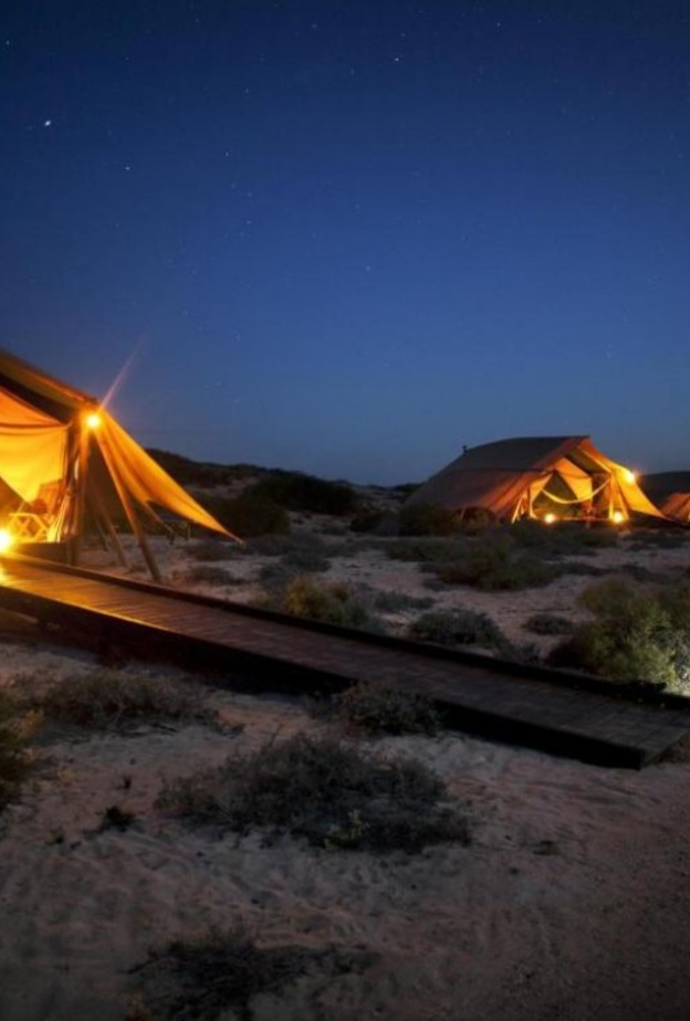 الدفاع المدني