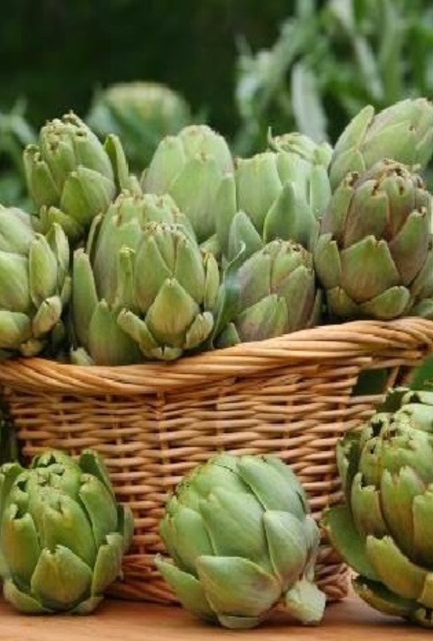 الخرشوف يحسن وظيفة الكلى