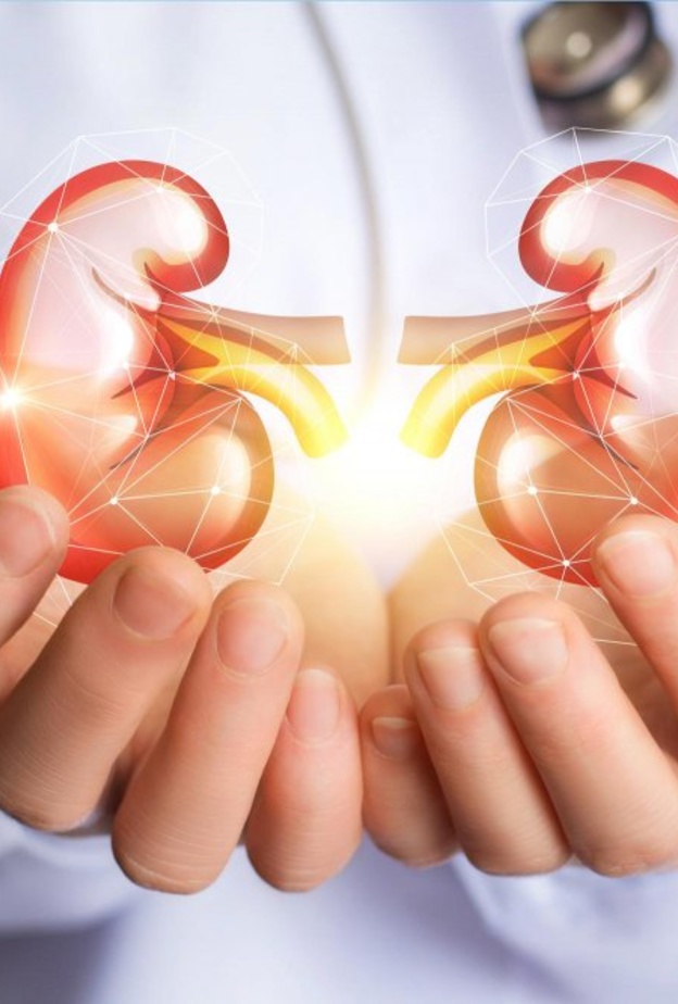  ألم أسفل الظهر من أعراض ضمور الكلى