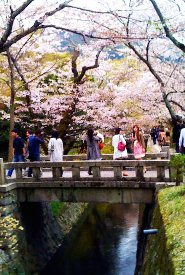 الجناح الذهبي