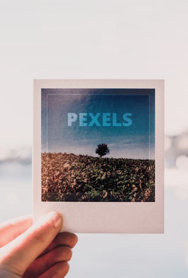 Pexels..تطبيق مميز لأخذ الصور الفوتوغرافية و مشاركتها بدون حقوق ملكية