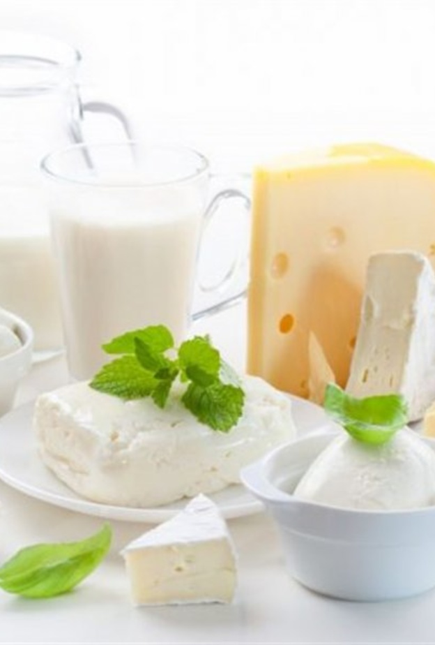 فوائد وأضرار الألبان والأجبان أثناء الرجيم