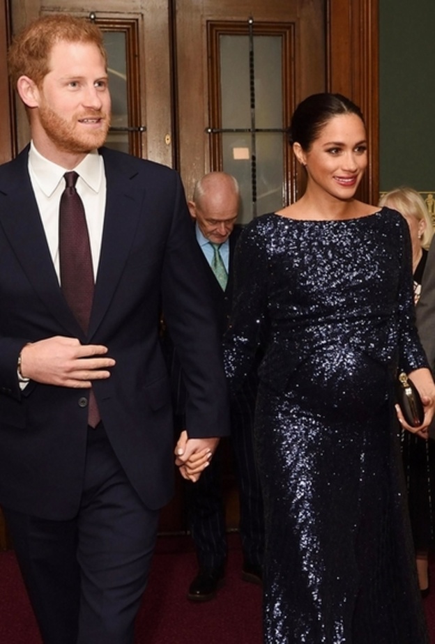 ميغان ماركل والأمير هاري في عرض لسيرك دو سوليه