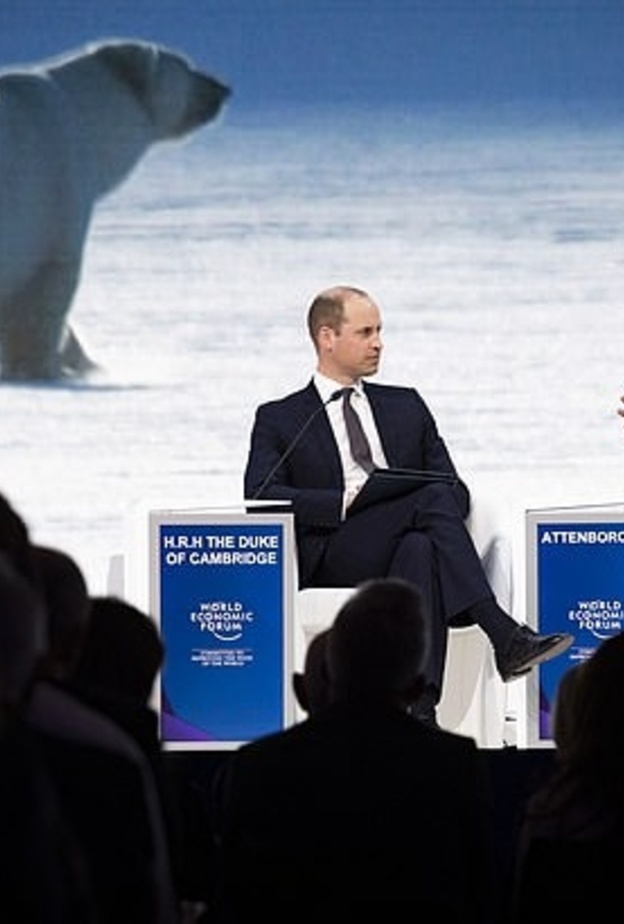  الأمير وليام في دور المحاور