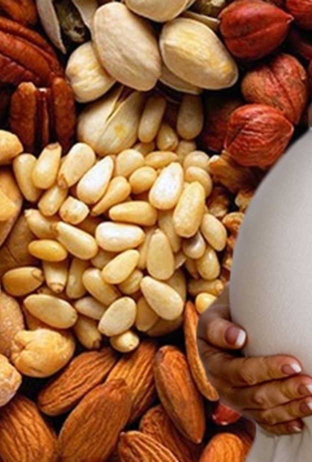 تعد المكسرات والحبوب من الأطعمة الهامة والغنية بحمض الفوليك أسيد