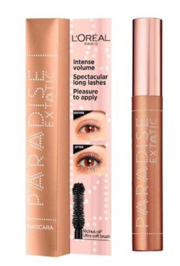 برايمر بارادايس