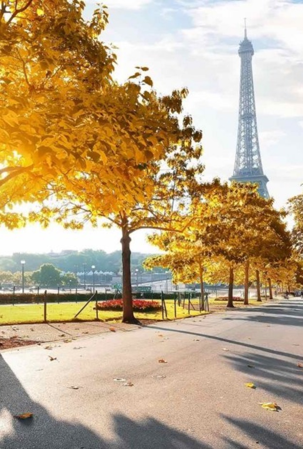 باريس عاصمة النور والجمال الفرنسية