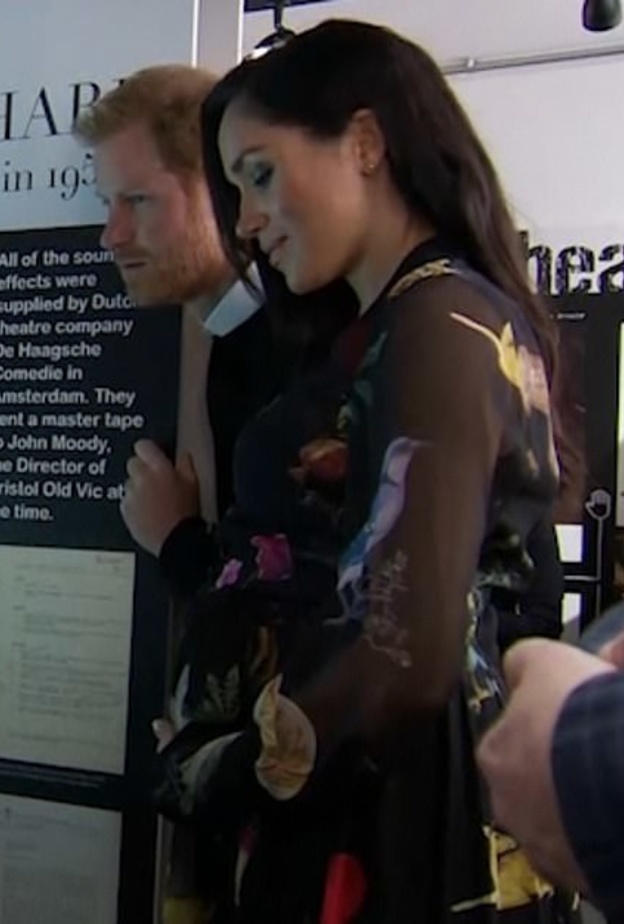 ميغان ماركل والأمير هاري