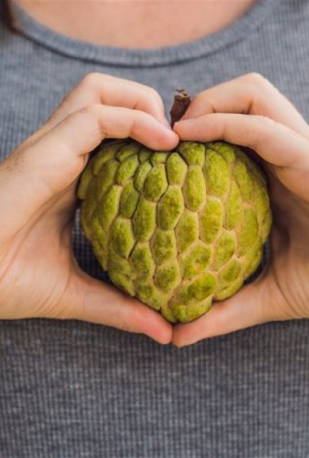 فوائد الجرافيولا الصحية للعروس