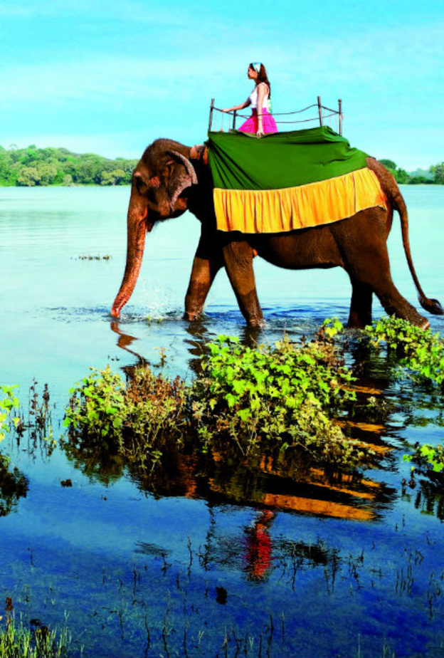 أفضل أوقات السفر الى سريلانكا