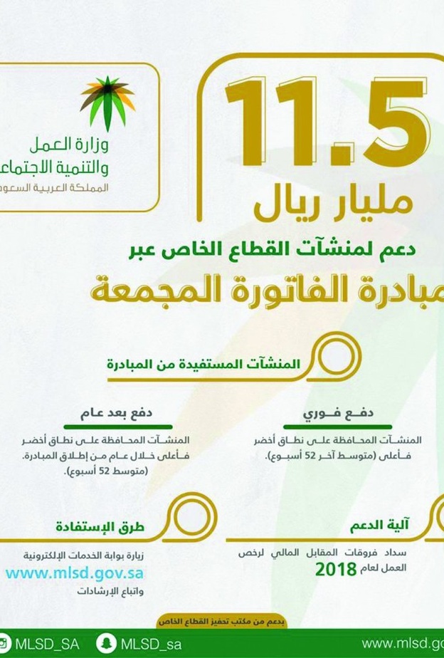 وزارة العمل