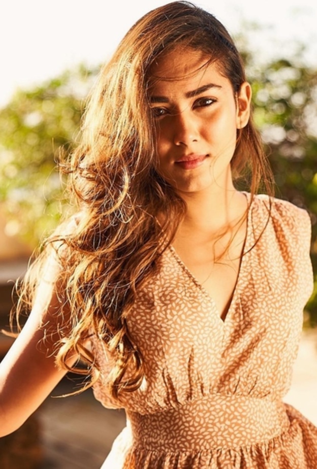 شاهد بالصورة ميرا راجبوت تصبغ شعر طفلتها ميشا