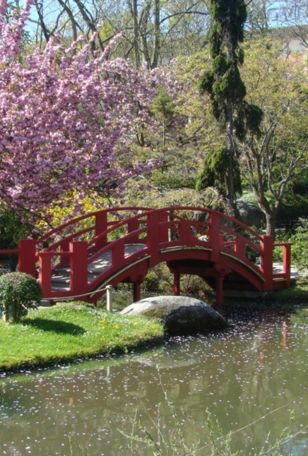 الحديقة اليابانية