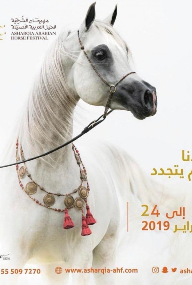 جانب من الحضور الاعلامي في المؤتمر الصحفي