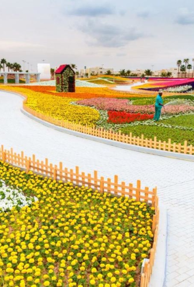 مهرجان الزهور والحدائق الذي تنظمه الهيئة الملكية بينبع