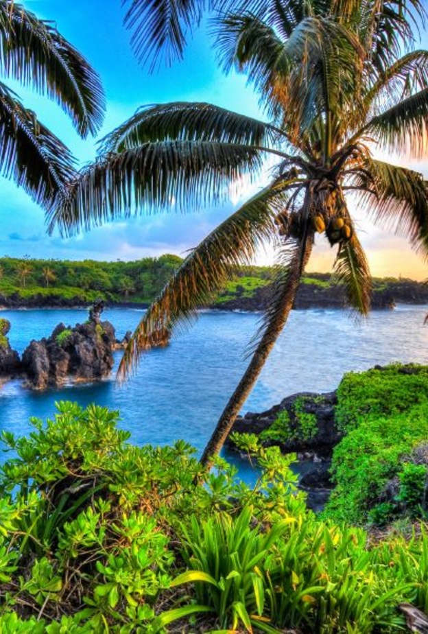 جزيرة هاواي حلم شهر العسل