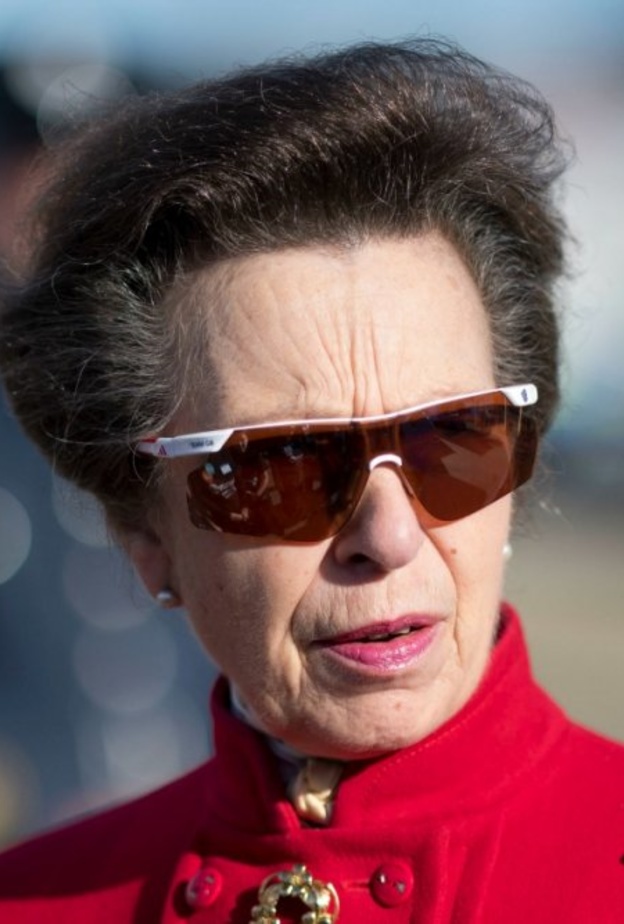 الأميرة آن أدينت في تهمة جنائية بسبب كلبها الأليف دوتي