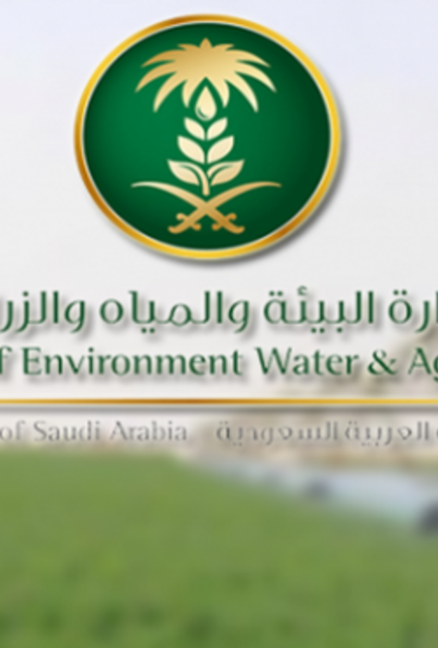 أعلنت وزارة البيئة عن توفر 100 وظيفة إدارية وفنية