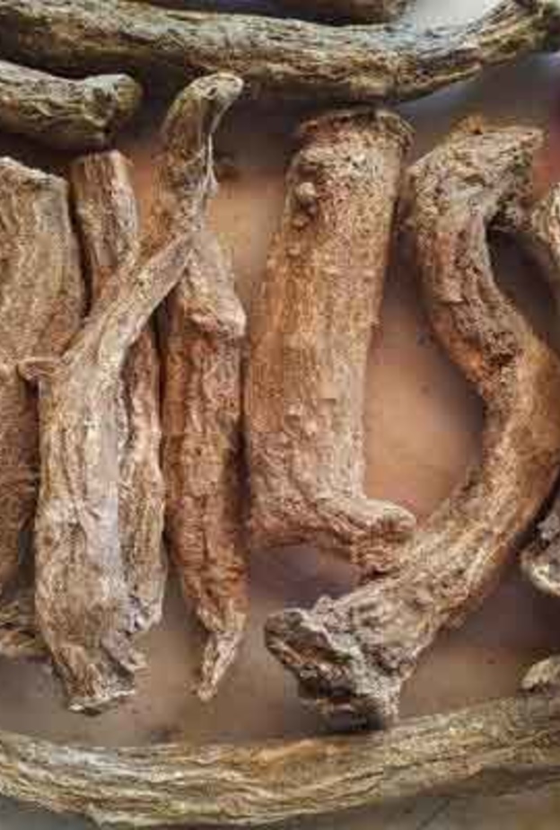 القسط الهندي فعال في علاج الغدة النخامية