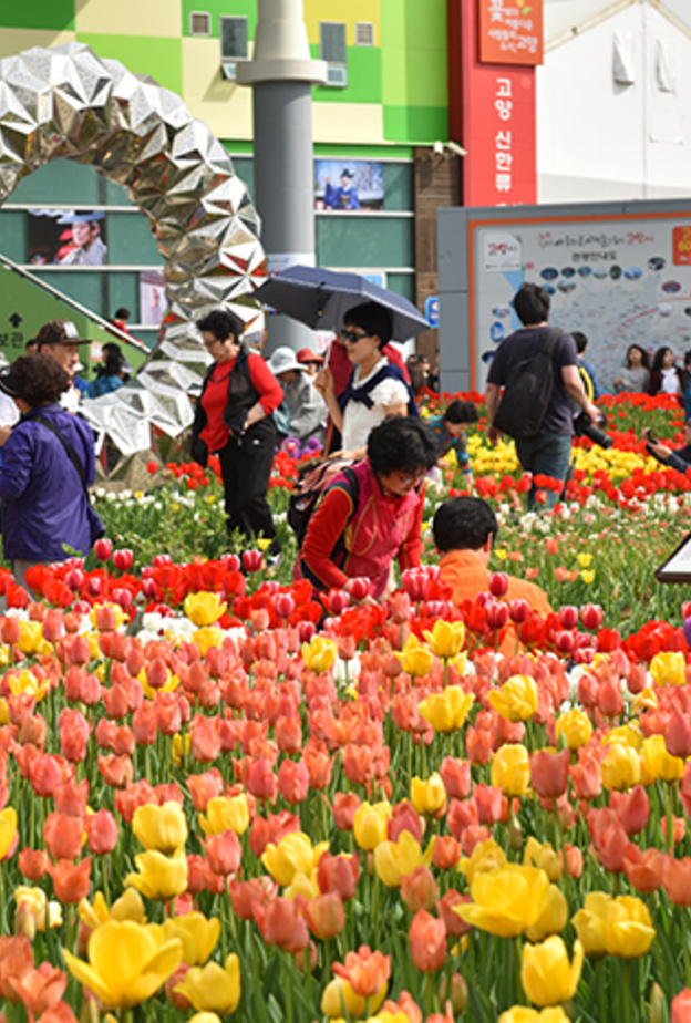 عروض فنية منوعة 