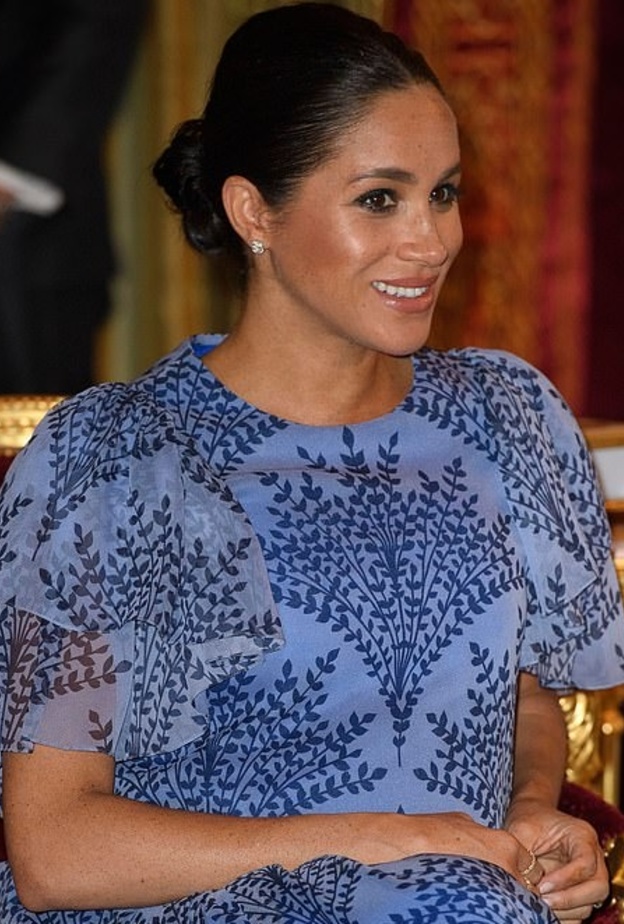 أصحاب الملابس الرمادية قد يدمرون حياة ميغان ماركل الملكية