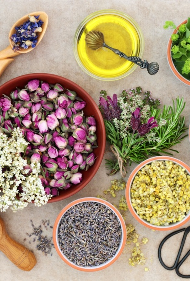 اضرار الاعشاب الطبية على الصحة