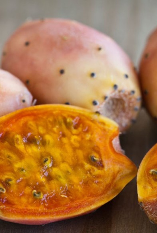 التين الشوكي يقاوم الجذور الحرة المسببة للسرطان