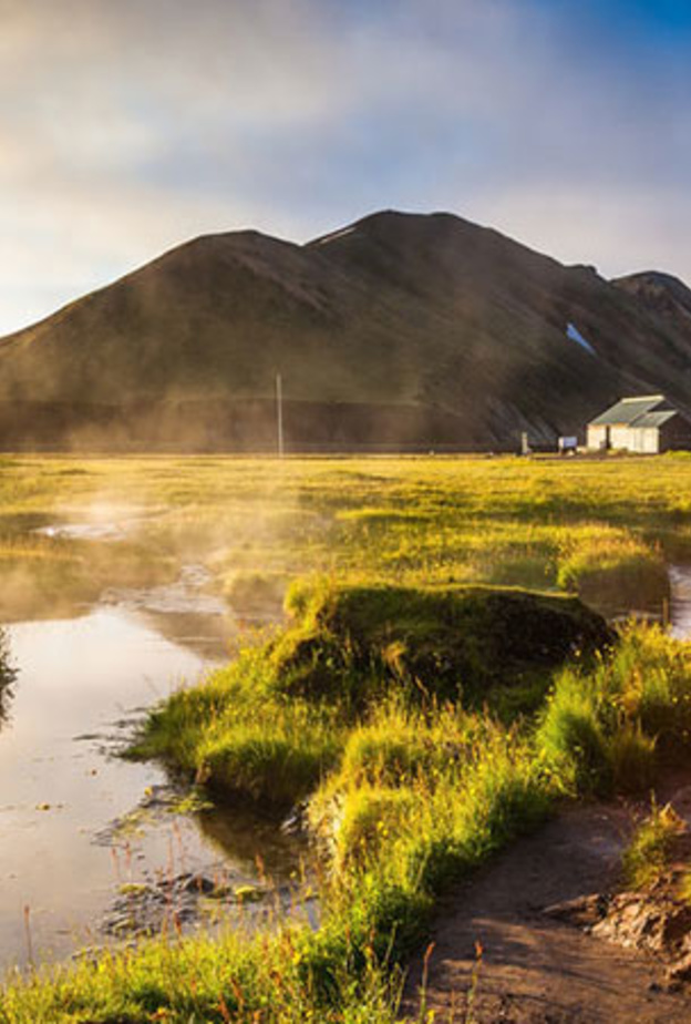 العربات التي تجرها الكلاب